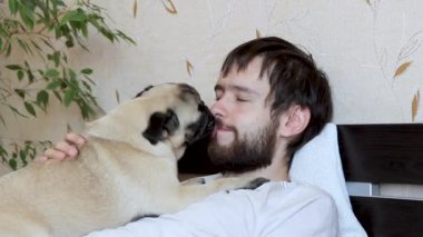 Şirin köpek köpeği öpüyor ve sahibinin yüzünü yalayıp evde yatakta oturuyor.