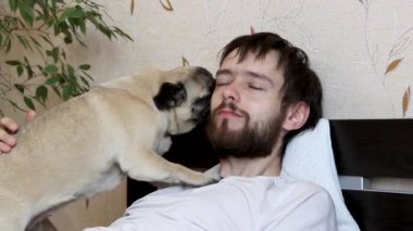 Şirin köpek köpeği öpüyor ve sahibinin yüzünü yalayıp evde yatakta oturuyor.