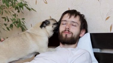 Şirin köpek köpeği öpüyor ve sahibinin yüzünü yalayıp evde yatakta oturuyor.