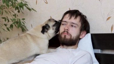 Şirin köpek köpeği öpüyor ve sahibinin yüzünü yalayıp evde yatakta oturuyor.