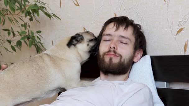 可爱的狗吐着嘴亲吻 用舌头舔着主人的脸 坐在床上 — 图库视频影像