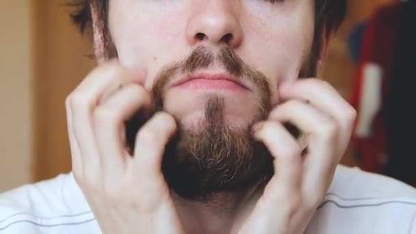 Uomo Che Gratta Barba Con Due Mani Vicino Pelle Secca — Video Stock