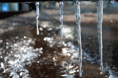 Şeffaf buz saçakları olan donmuş ağaç. Soğuk kış manzarası