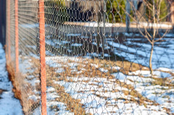 Rabitz Background Green Grass Snow Sunny Day Fence Texture Background — Stock Photo, Image