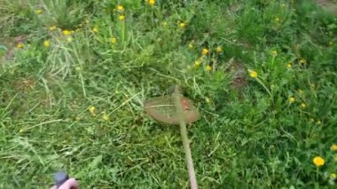 Bahçıvan uzun yeşil çimenleri karahindiba ile biçer, erkeksi elleri tutar, benzin çim biçme makinesi, farklı yönlere uçan yabani otlar, yakın plan