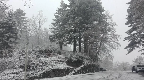 Saga saga jul landskap av en bergig väg mitt i en skog på Apuan Alperna i Toscana mitt i en snöstorm — Stockfoto