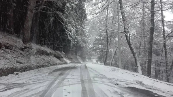 Saga saga jul landskap av en bergig väg mitt i en skog på Apuan Alperna i Toscana mitt i en snöstorm — Stockfoto