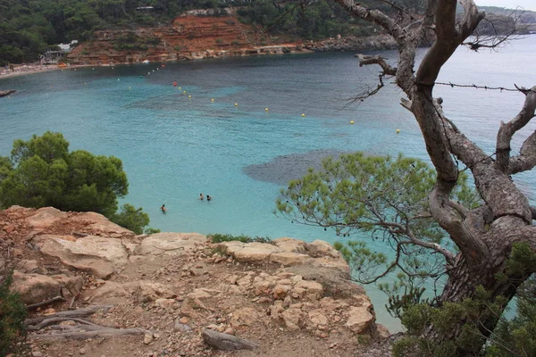 Ibiza 'nın güzel ve ünlü körfezi, kayalar ve balerinlerin bitki örtüsü arasındaki kayalık körfez ya da kayalık körfez. — Stok fotoğraf