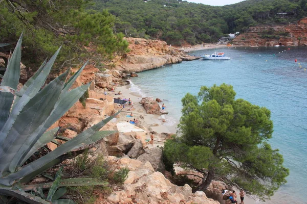 A cruise holiday on the sea in front of the cliffs and the most beautiful beaches of Ibiza in particular cala salada and cala saladeta — 스톡 사진