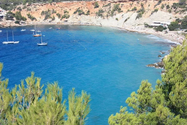 Boy Vacation Ibiza Sitting Tree Branch Front Blue Sea Cala — Stock Photo, Image