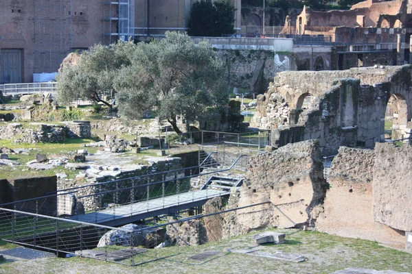 Roma Hermosos Detalles Históricos Los Foros Imperiales Italia — Foto de Stock