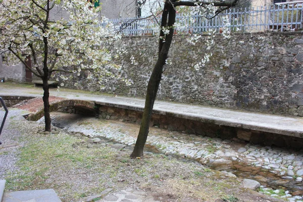 Pilalla Polkuja Rakennettu Kivi Kivi Toscanan Maiseman Borgo Mozzano Muinaisessa — kuvapankkivalokuva