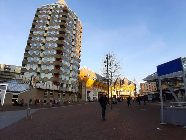 Metropool Panorama Van Rotterdam Stad Bij Zonsondergang Tussen Wolkenkrabbers Gebouwen — Stockfoto