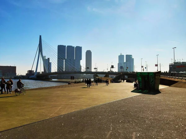 Rotterdam Dan Hollanda Uzanan Erasmus Köprüsü Nün Mavi Panoraması — Stok fotoğraf