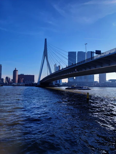 Modré Panorama Mostu Erasmus Rotterdamu Řece Holandsku — Stock fotografie