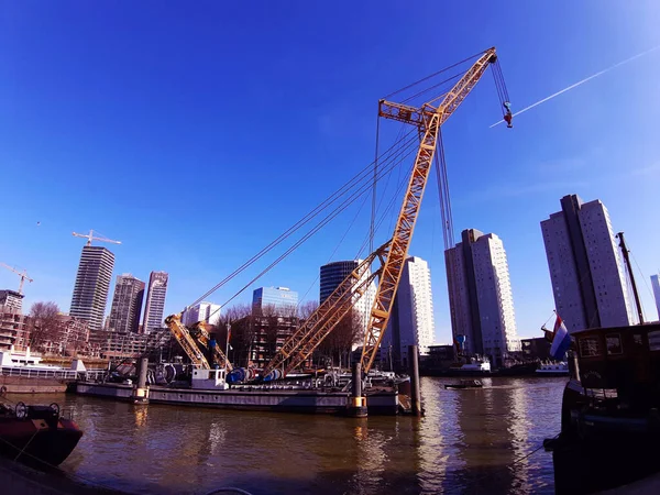 Modré Panorama Mostu Erasmus Rotterdamu Řece Holandsku — Stock fotografie