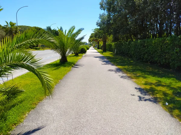 Caminhar Passeio Desolado Verão Toscana — Fotografia de Stock