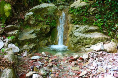 Yeşillik ve vahşi yaşamın kırmızı tuğla taşları arasındaki soğuk bir dere damlası.