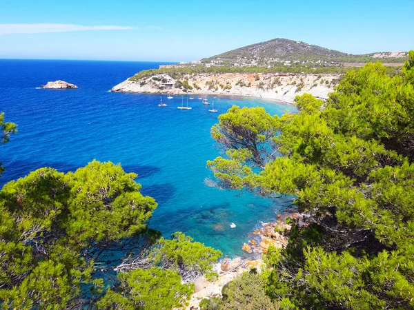 Ibizai Cala Hort Öböl Vad Természetének Élénk Színei Nyáron Baleári — Stock Fotó