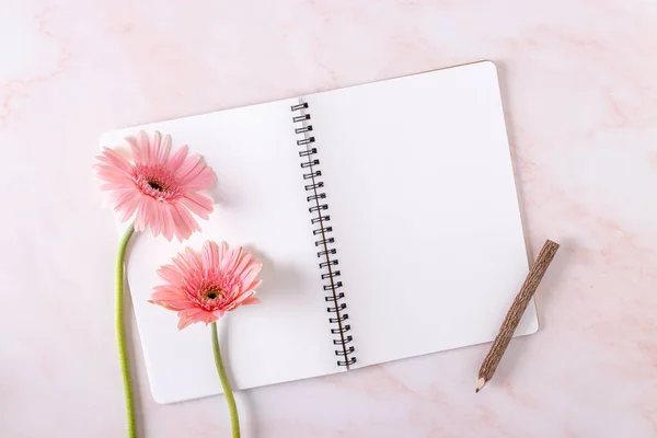 Vista Superior Flores Gerberas Rosadas Con Cuaderno Lápiz Sobre Fondo — Foto de Stock