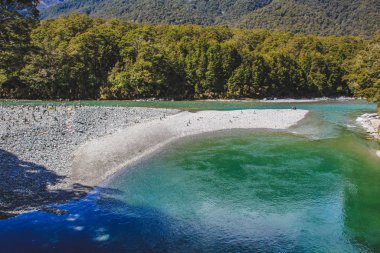 Güney Adası, Yeni Zelanda 'daki Ulusal Parkı Arayan Mavi Havuzlar