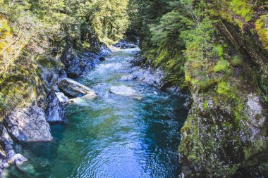 Güney Adası, Yeni Zelanda 'daki Ulusal Parkı Arayan Mavi Havuzlar