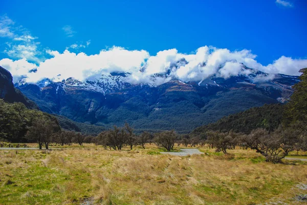 Landsbygd i Paradise, nära Queenstown, Sydön, Nya Zeeland — Stockfoto