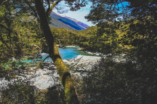 Piscinas azuis em Mount Aspiring National Park, South Island, Nova Zelândia — Fotografia de Stock