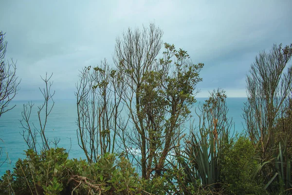 Carretera a lo largo de la costa oeste de la Isla Sur, vista del océano ancho, Nueva Zelanda — Foto de Stock