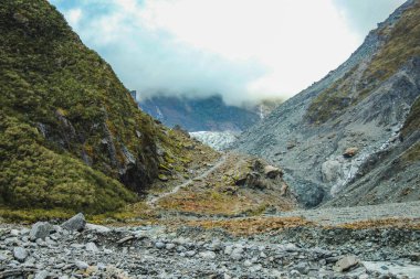 Yeni Zelanda 'nın güney adasında Fox Buzulu manzarası