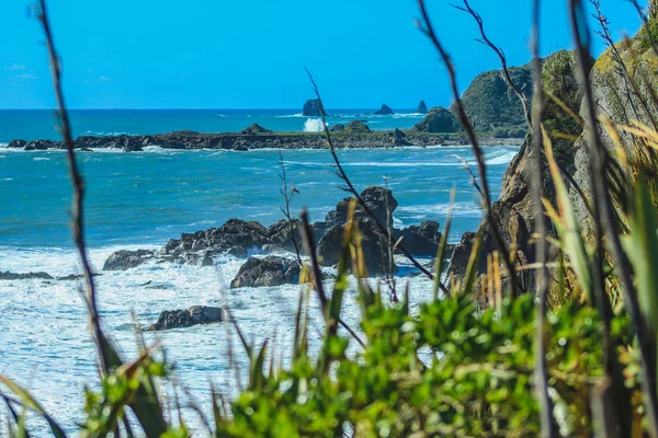 Cape Foulwind, Île du Sud, Nouvelle-Zélande — Photo