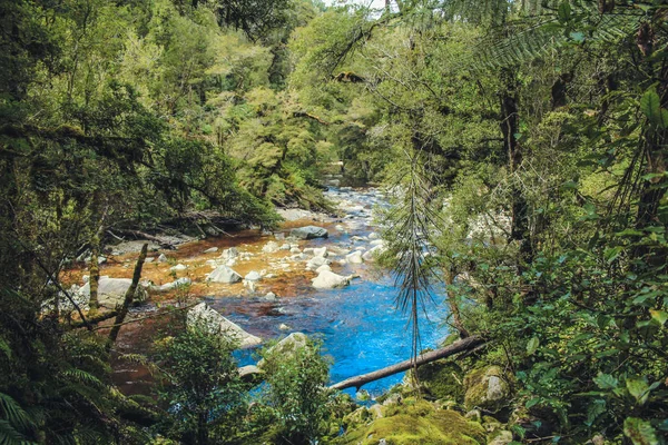 Il fiume Oparara scorre attraverso l'idilliaca foresta pluviale presso l'arco del bacino di Oparara, nell'Isola del Sud, in Nuova Zelanda — Foto Stock