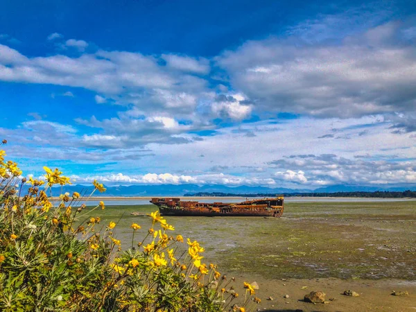 Janie Seddon Naufrágio em Motueka, South Island, Nova Zelândia — Fotografia de Stock