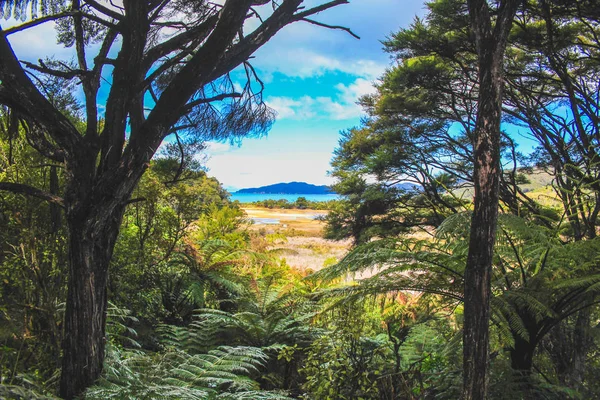 Veduta della spiaggia di Anapai sull'isola meridionale della Nuova Zelanda — Foto Stock