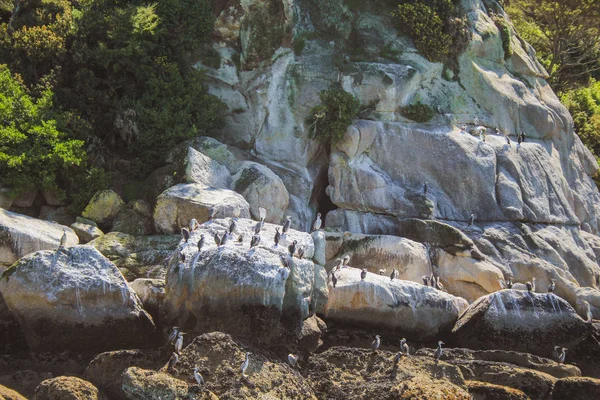 Parque Nacional Abel Tasman, Isla Sur, Nueva Zelanda — Foto de Stock