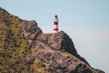 Cape Palliser Deniz Feneri, Kuzey Adası, Yeni Zelanda