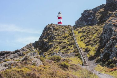Cape Palliser Deniz Feneri, Kuzey Adası, Yeni Zelanda
