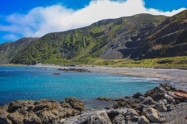 Wellington, Kuzey Adası, Yeni Zelanda 'daki Owhiro Körfezi' nde güzel bir kıyı şeridi.