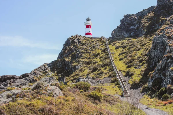 Cape Palliser Deniz Feneri, Kuzey Adası, Yeni Zelanda