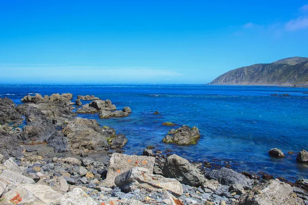 Hermosa costa en la bahía de Owhiro en Wellington, Isla Norte, Nueva Zelanda — Foto de Stock