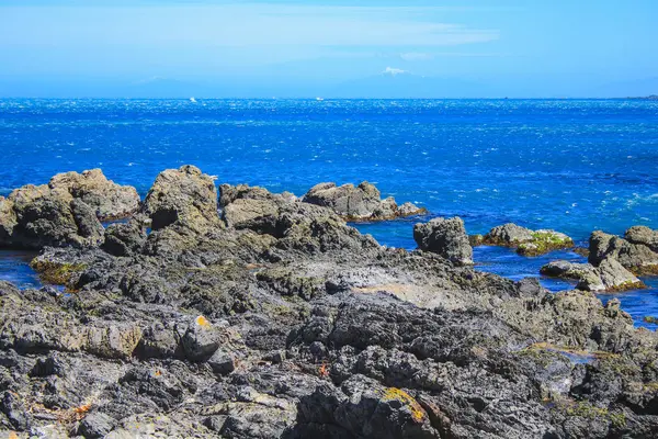 Bella costa a Owhiro Bay a Wellington, Isola del Nord, Nuova Zelanda — Foto Stock