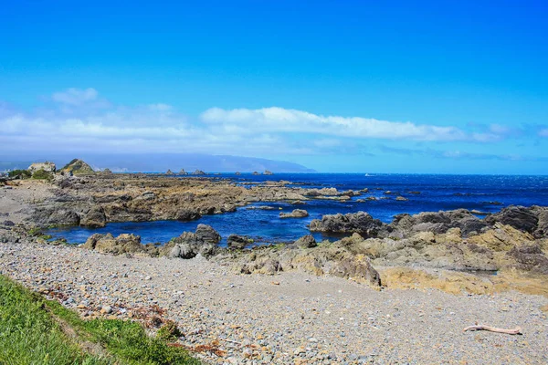 Hermosa costa en la bahía de Owhiro en Wellington, Isla Norte, Nueva Zelanda — Foto de Stock