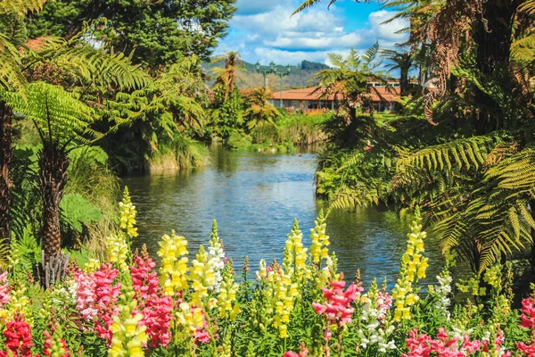 Regeringstuin in Rotorua, North Island, Nieuw-Zeeland — Stockfoto