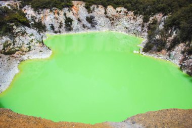 Rotorua, Kuzey Adası, Yeni Zelanda yakınlarındaki Wai-O-Tapu Termal Harikalar Diyarı 'nda yeşil renkli gölet.