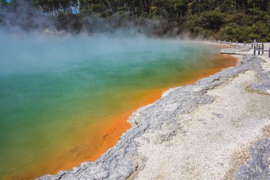 Rotorua, Kuzey Adası, Yeni Zelanda yakınlarındaki Wai-O-Tapu Termal Harikalar Diyarı 'nda renkli şampanya havuzu