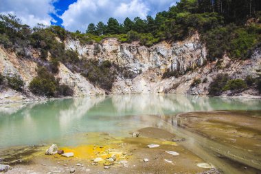 Wai-O-Tapu Termal Harikalar Diyarı 'ndaki jeotermal havuz, Rotorua, Kuzey Adası, Yeni Zelanda