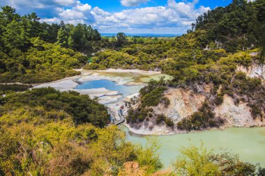 Beyaz buhar her zaman Rotorua, Kuzey Adası, Yeni Zelanda yakınlarındaki Wai-O-Tapu Termal Harikalar Diyarı 'nda mevcuttur.