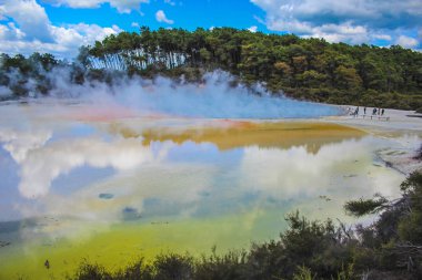 Rotorua, Kuzey Adası, Yeni Zelanda yakınlarındaki Wai-O-Tapu Termal Harikalar Diyarı 'nda renkli termal havuz.