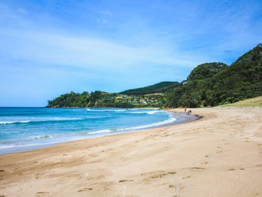 Coromandel Yarımadası 'ndaki Sıcak Su Plajı, Kuzey Adası, Yeni Zelanda