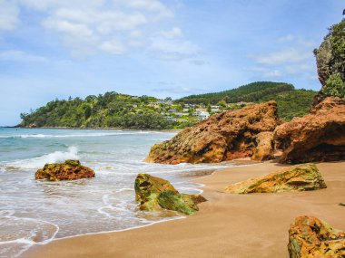 Coromandel Yarımadası 'ndaki Sıcak Su Plajı, Kuzey Adası, Yeni Zelanda